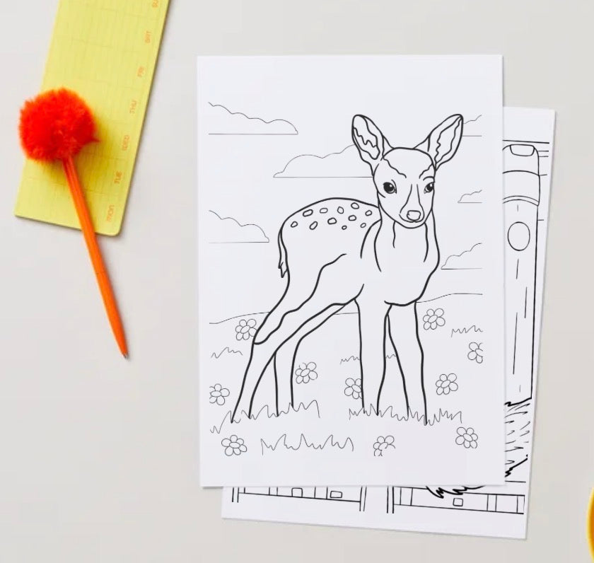 Animal colouring book generic pdf
